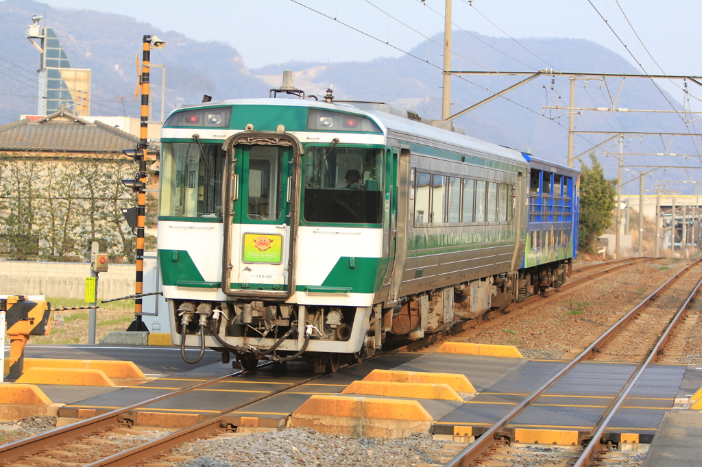 夢を乗せたトロッコ列車