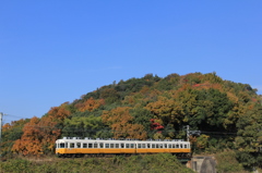 紅葉とコトデン