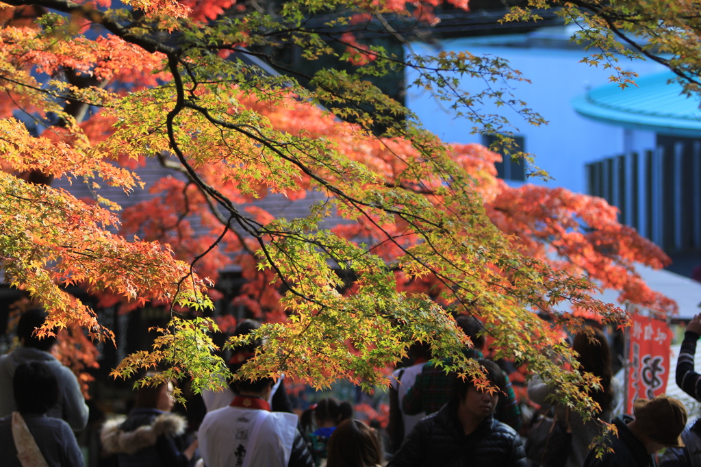 88番　結願寺　　大窪寺　②