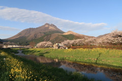 春の由布岳