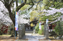 太鼓橋と本堂