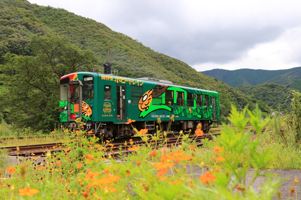 予土線のゆかいな列車⑩