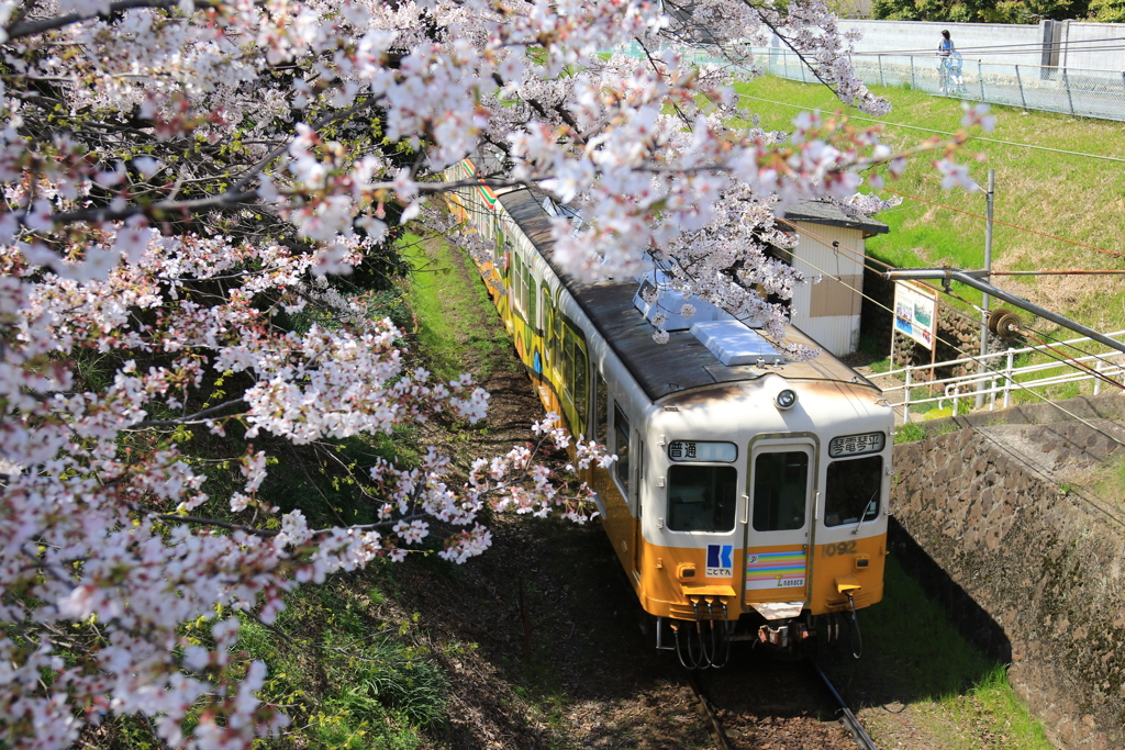 挿頭丘駅