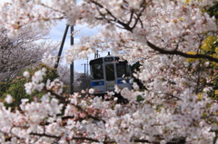 さくらと普通列車