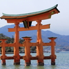 春の宮島