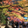 88番　結願寺　　大窪寺　①