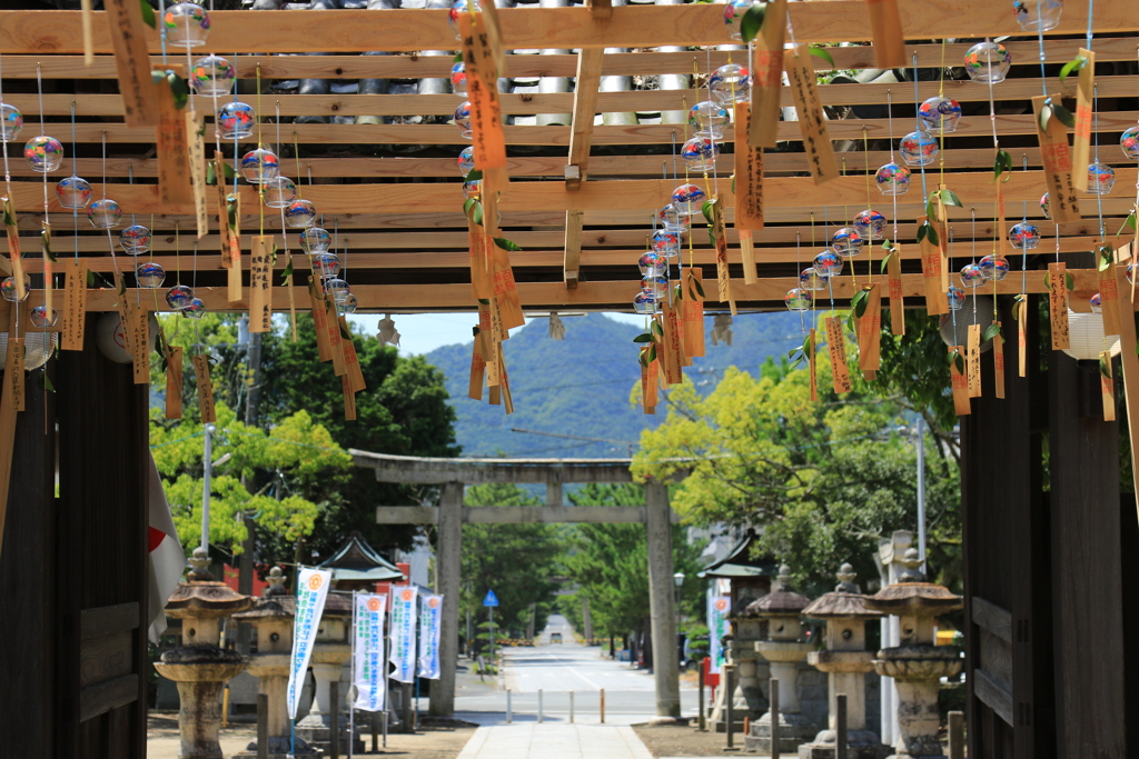 白鳥神社の夏