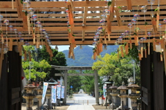 白鳥神社の夏