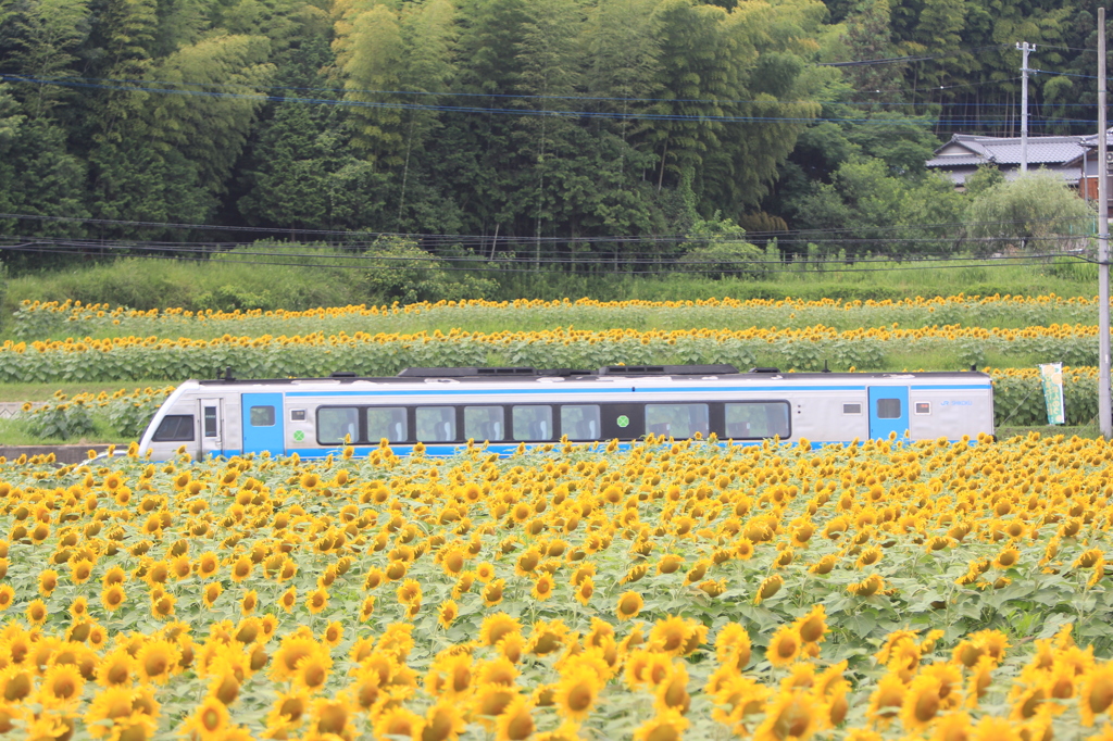 一人旅