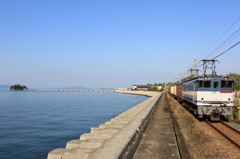 津島神社と貨物列車