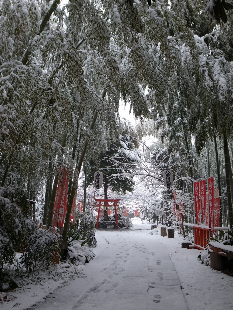 雪竹のアーチ