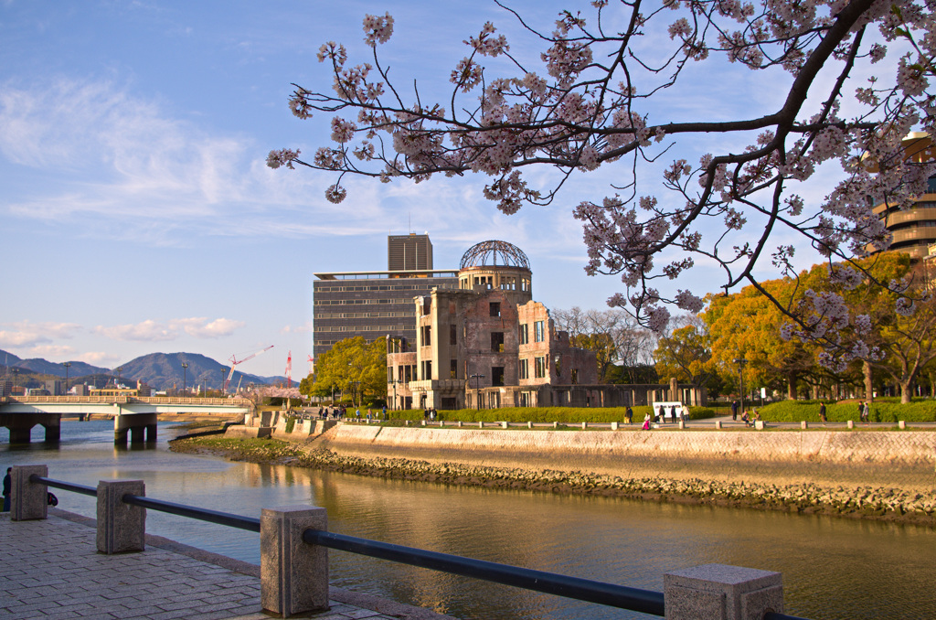 原爆ドーム　桜だより④