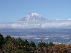 富士山