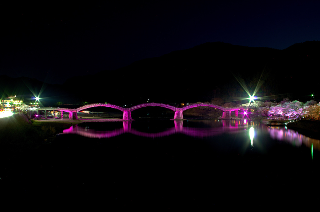 錦帯橋　桜だより④