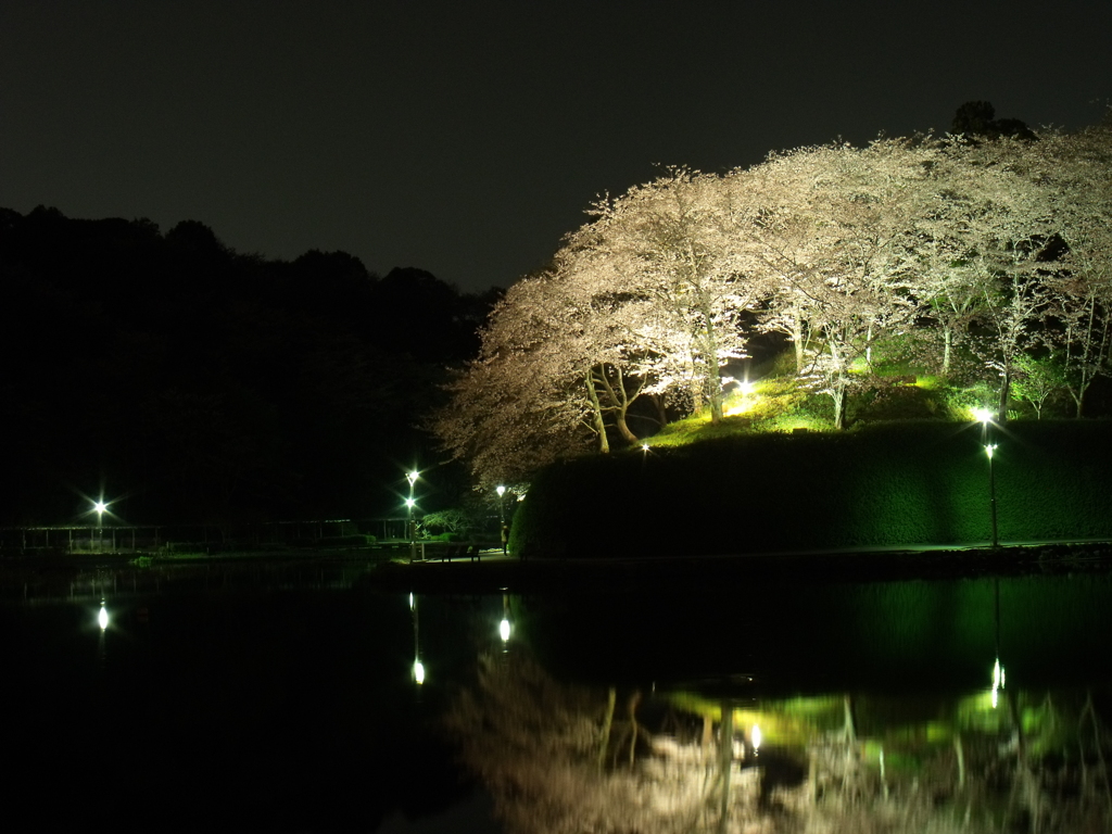 蓮華寺池公園