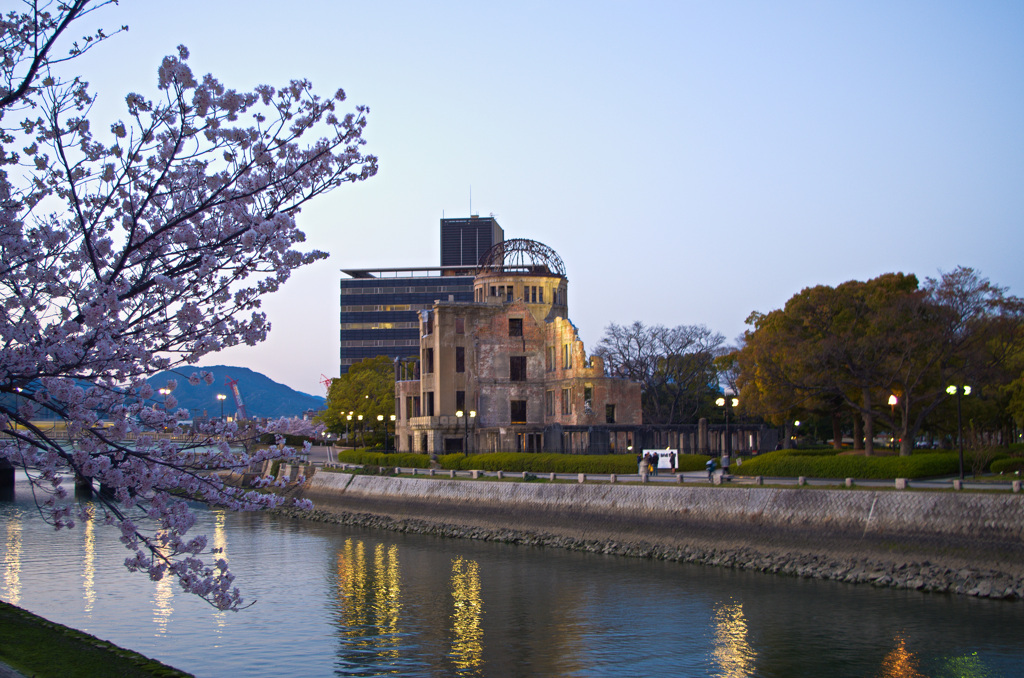 原爆ドーム　桜だより⑤