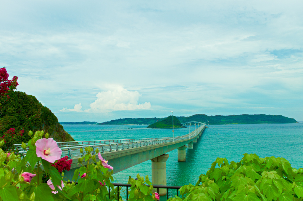 角島⑤