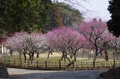 IMGP0966