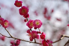 IMGP0968