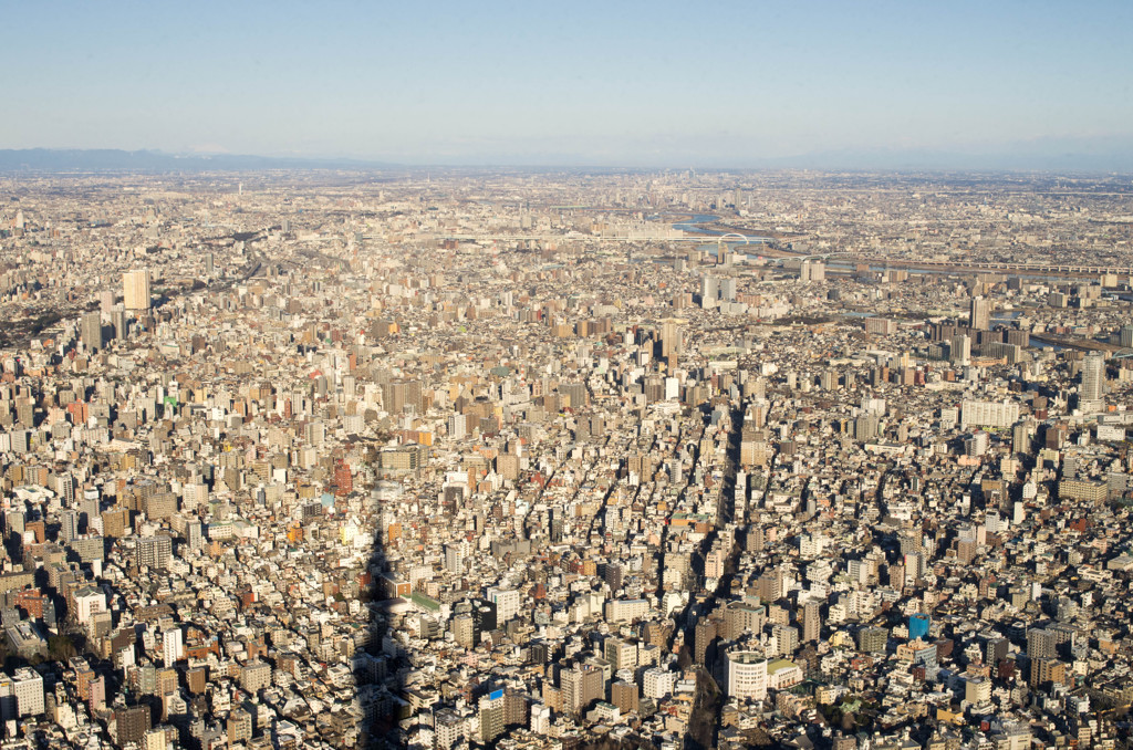 SKYTREE #4