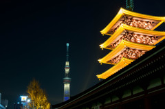 SKYTREE 2020 SP #6