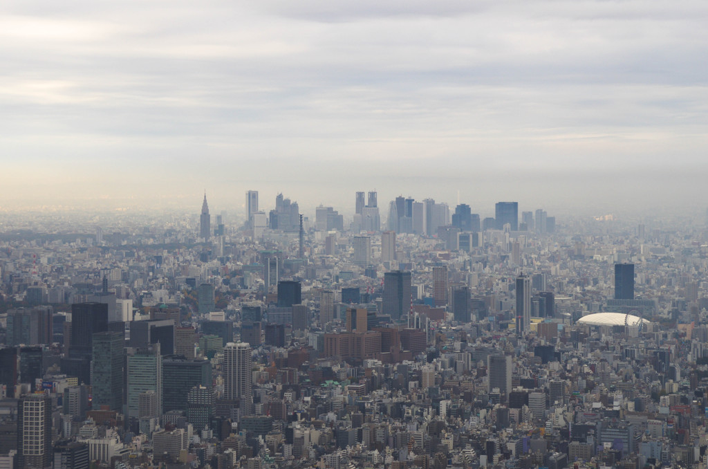新宿