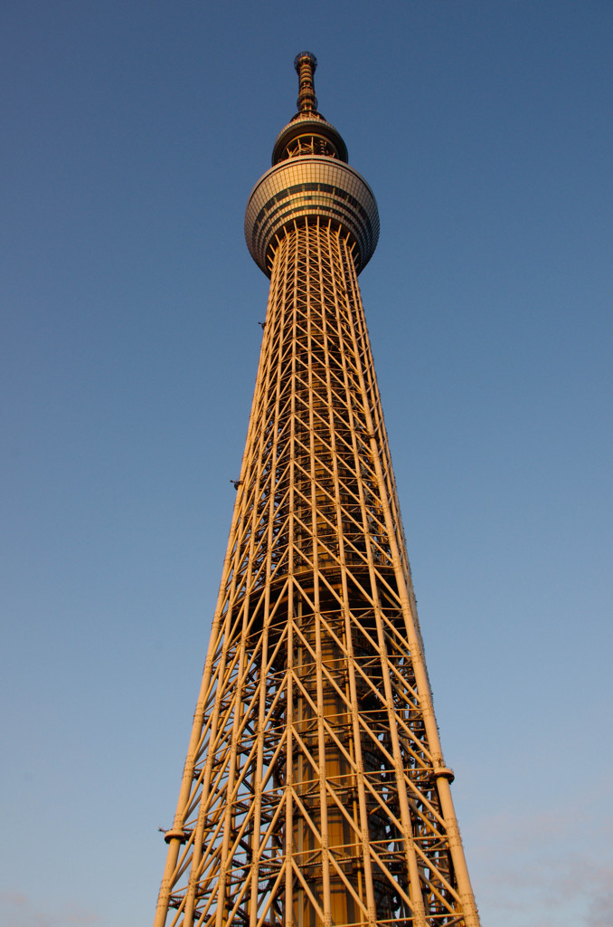 SKYTREE 12 may,13 #01