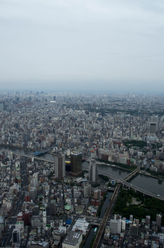スカイツリーから見た東京１
