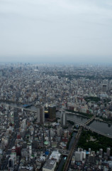 スカイツリーから見た東京１