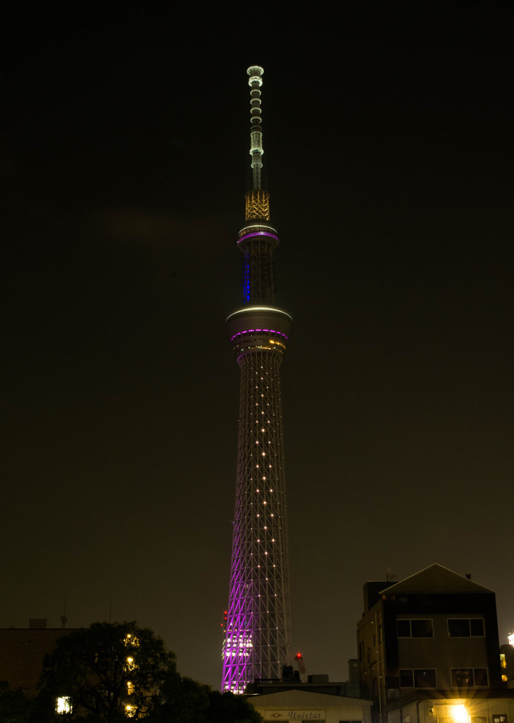 SKYTREE may,22 #14