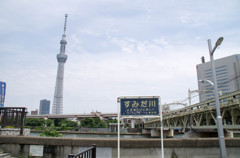 墨田公園