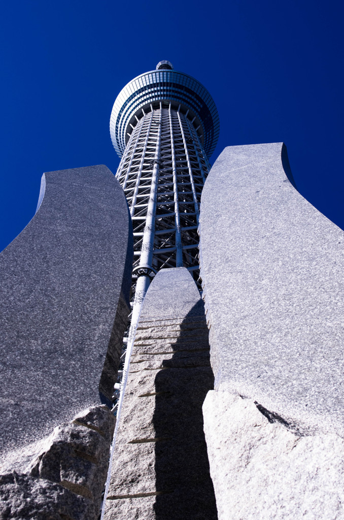 SKYTREE #6