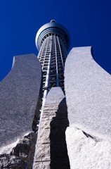 SKYTREE #6