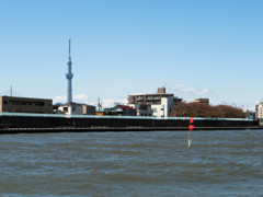 散歩photo #08
