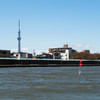 散歩photo #08