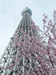 SKYTREE apl,13 #04