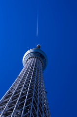 SKYTREE #5