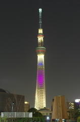 SKYTREE 2020 SP #2