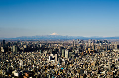 SKYTREE #8