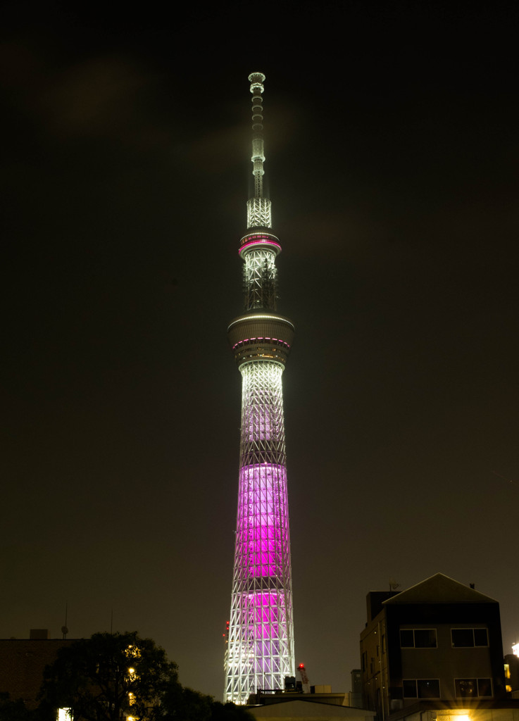 SKYTREE may,22 #05