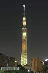 SKYTREE 2020 SP #4