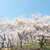 松本 弘法山 #02