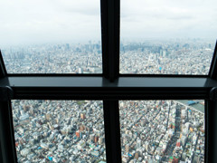 SKYTREE apl,13 #06