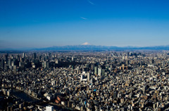 SKYTREE #7