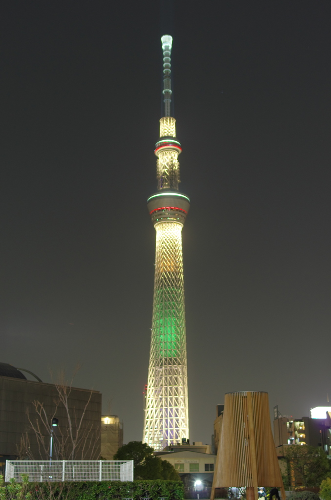 SKYTREE 2020 SP #5