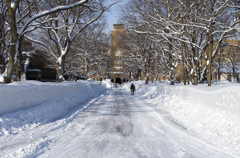 北海道大学農学部