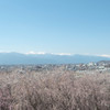 松本 弘法山 #04