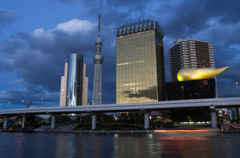 SKYTREE apl,13 #13