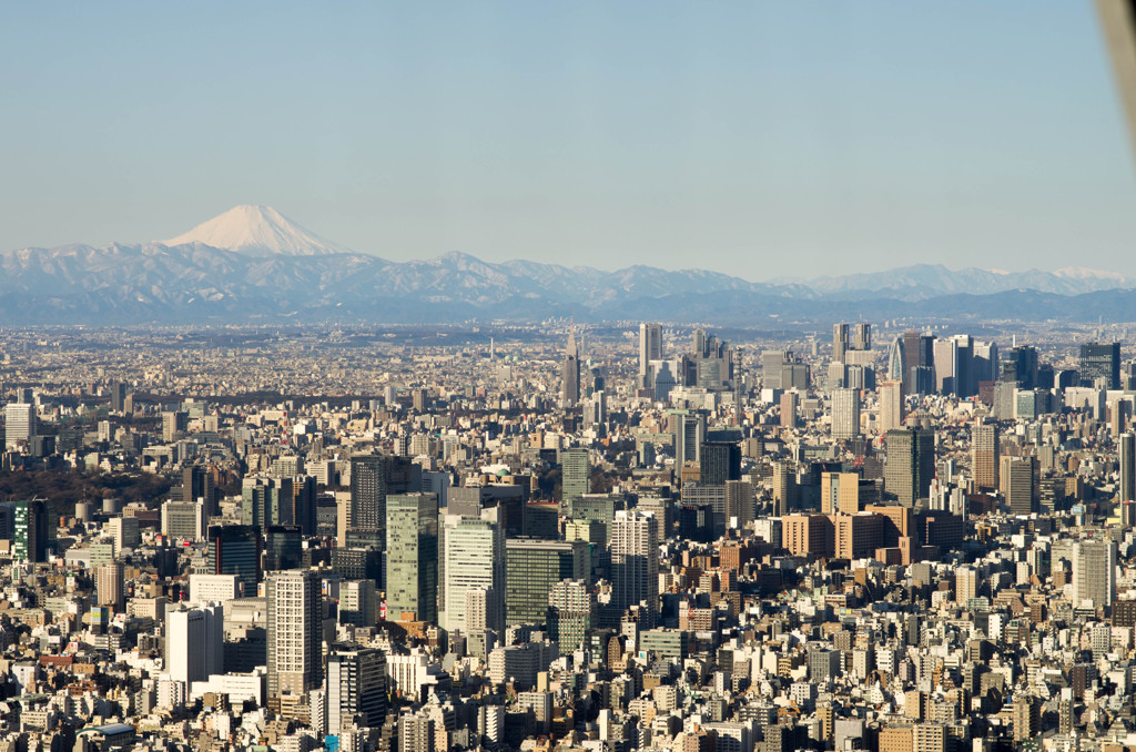 SKYTREE #2