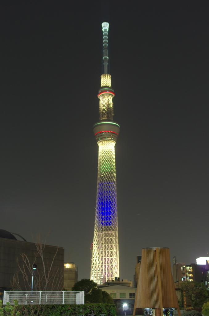 SKYTREE 2020 SP #1